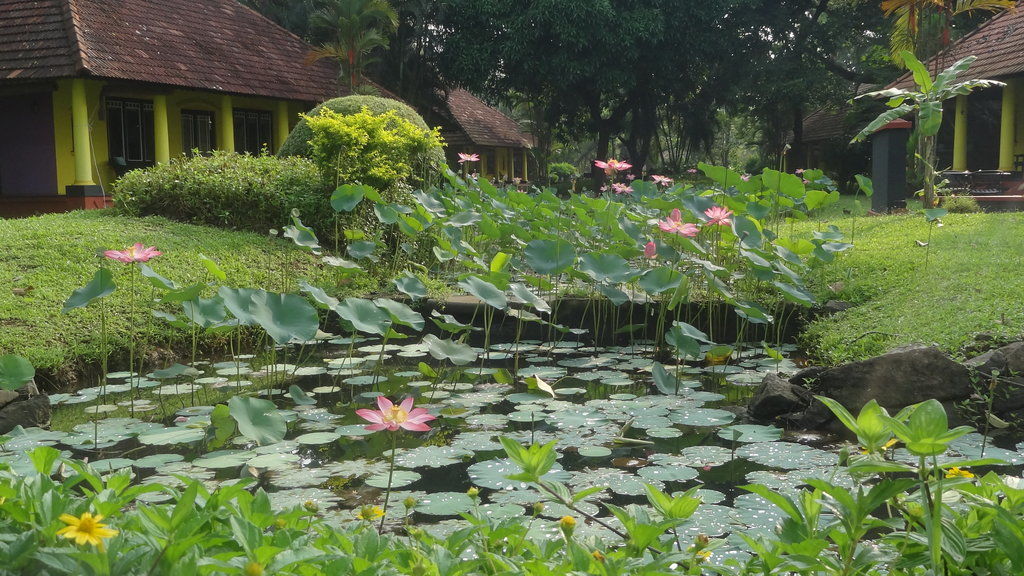 Taj Kumarakom Resort And Spa Kerala מראה חיצוני תמונה