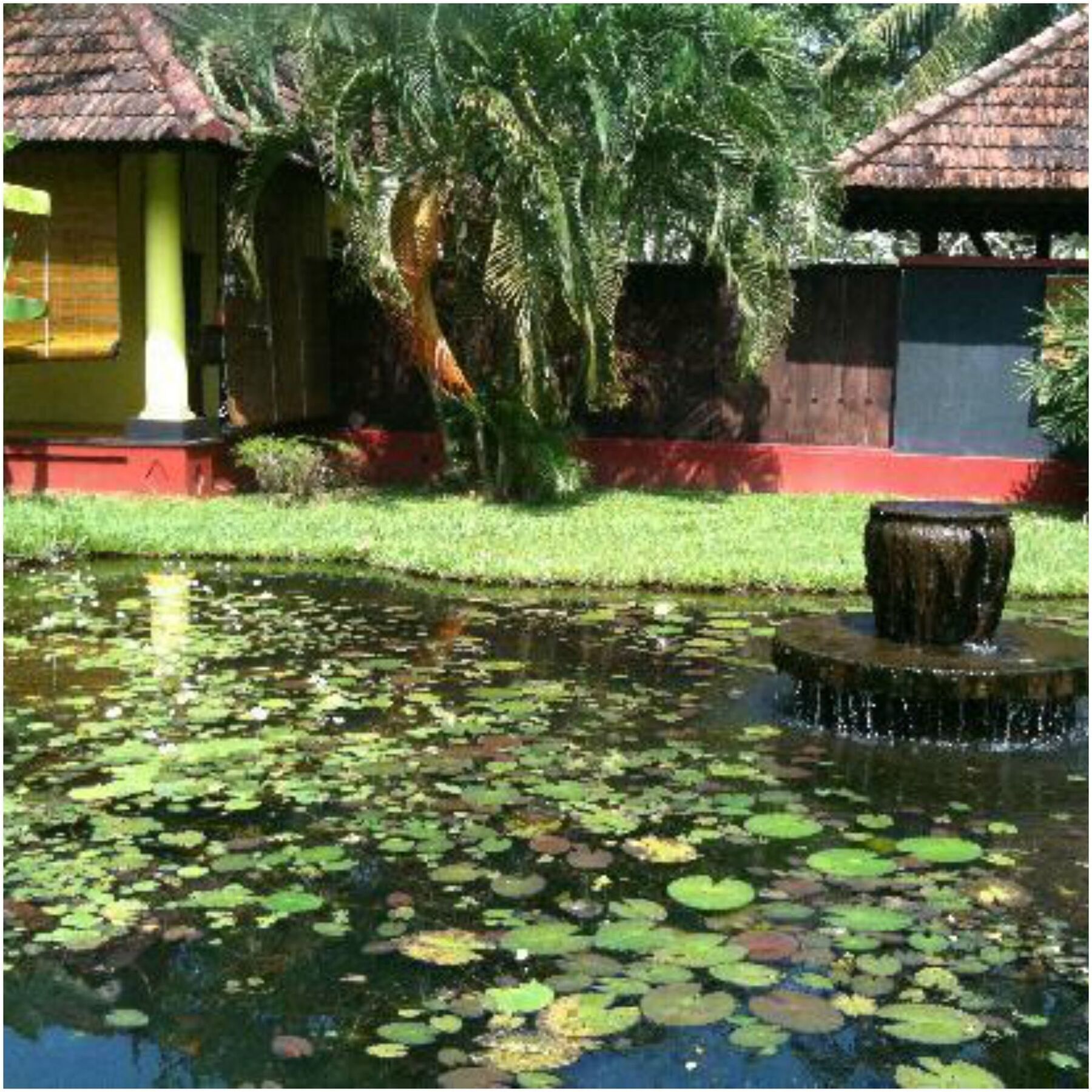 Taj Kumarakom Resort And Spa Kerala מראה חיצוני תמונה